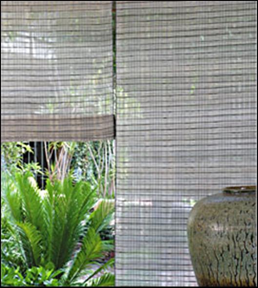 Windochine Collection
